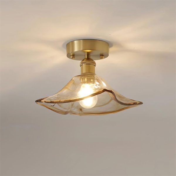 heaney ceiling light