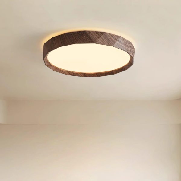 kerio ceiling light