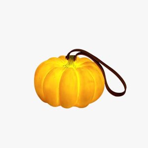 pumpkin portable table lamp
