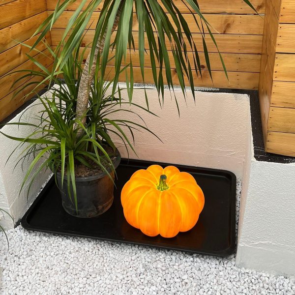 pumpkin table lamp