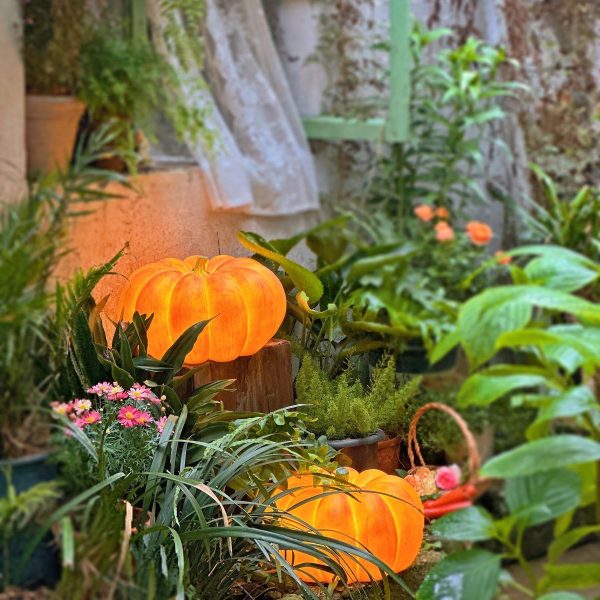 pumpkin table lamp