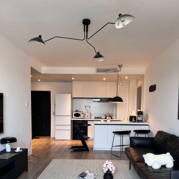 serge mouille ceiling light
