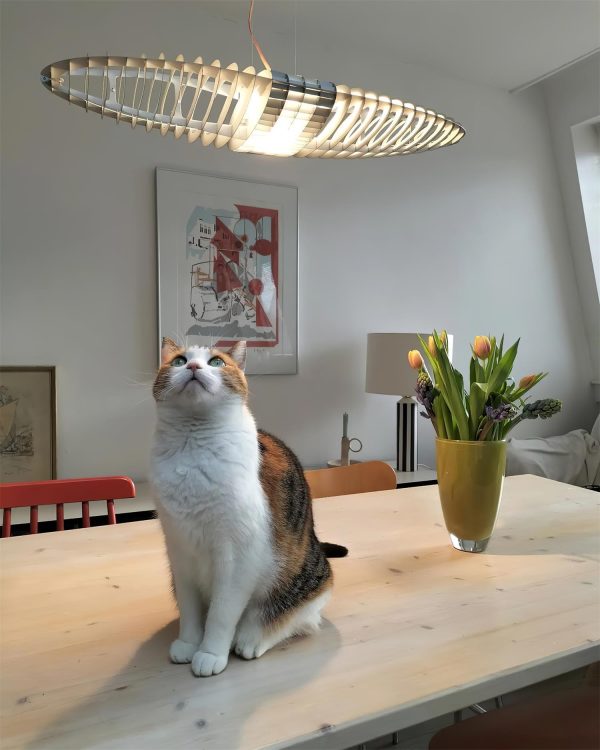 spaceship pendant light