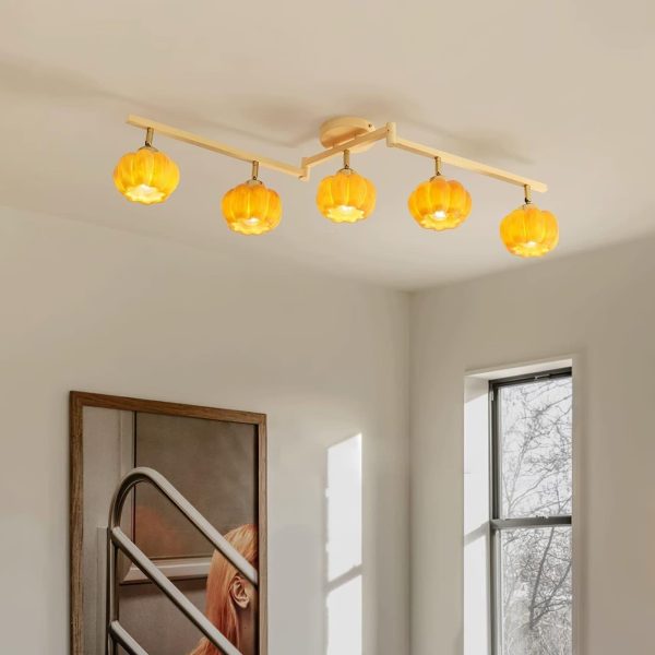venus pumpkin ceiling lamp