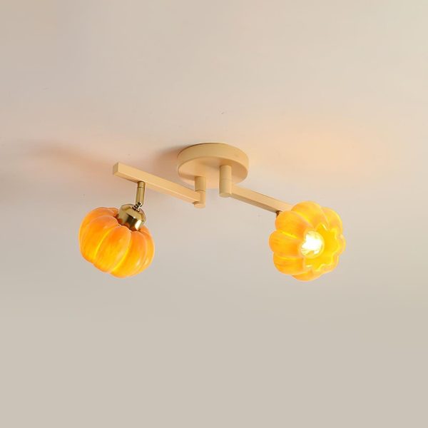 venus pumpkin ceiling lamp